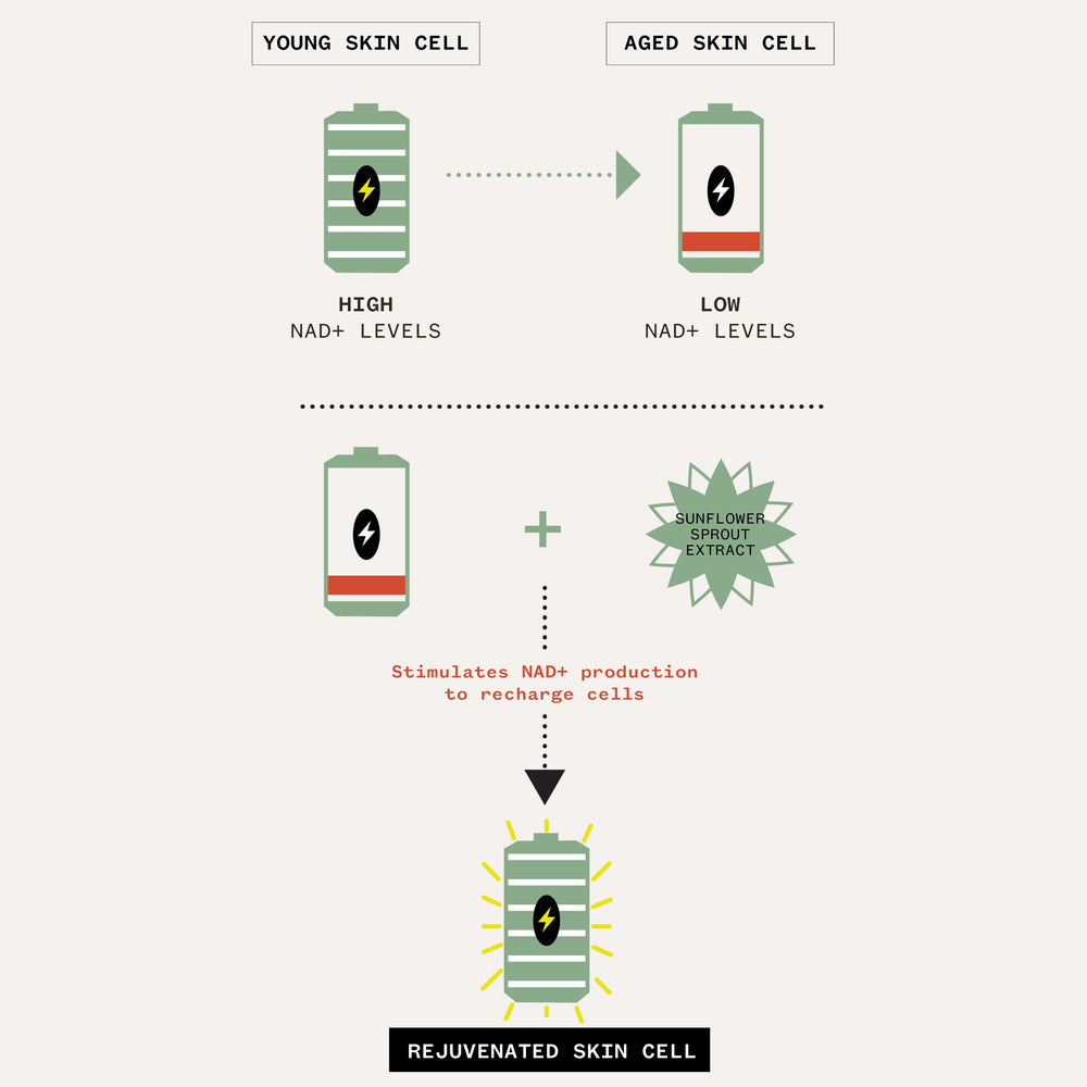 Age Confidence™ NAD+ & TriPeptide Renewal Serum