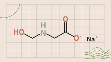 Sodium Hydroxymethylglycinate guide